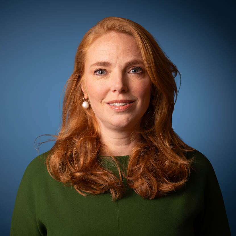 mr. drs. W.J.M.  Aerdts  (D66) 2