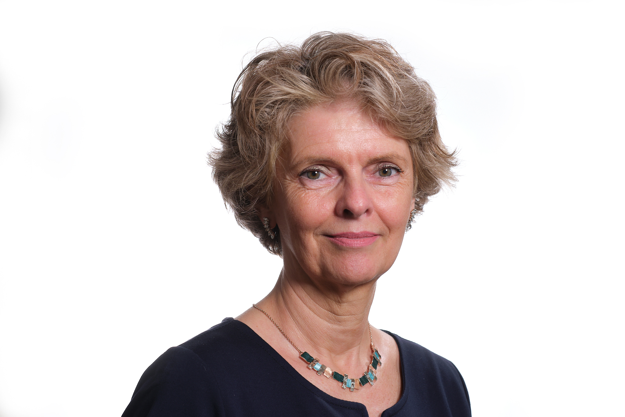 foto van Mr. W.A.J.M. van Dooren