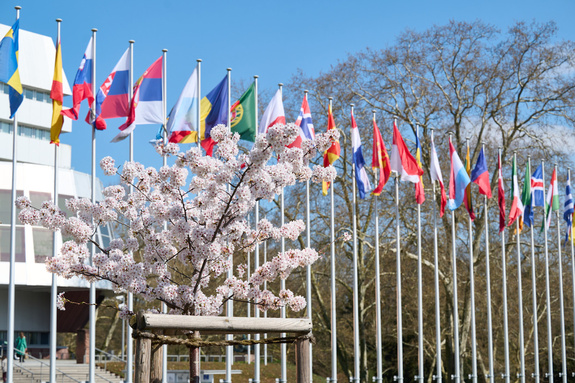 Voorjaar bij het Palais de l'Europe in Straatsburg